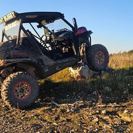 Lf Racing Rent Buggy Botel *