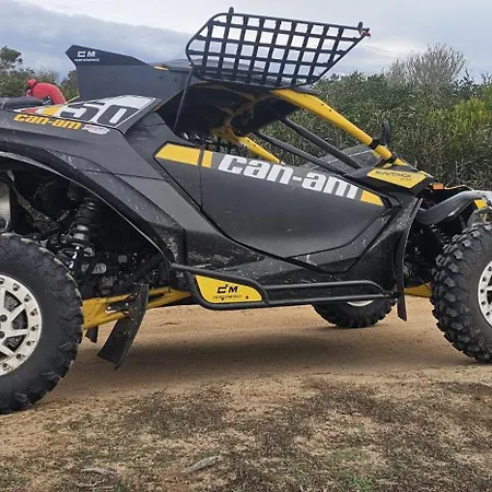 Lf Racing Rent Buggy *